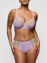 Ixia Full Briefs - Wisteria
