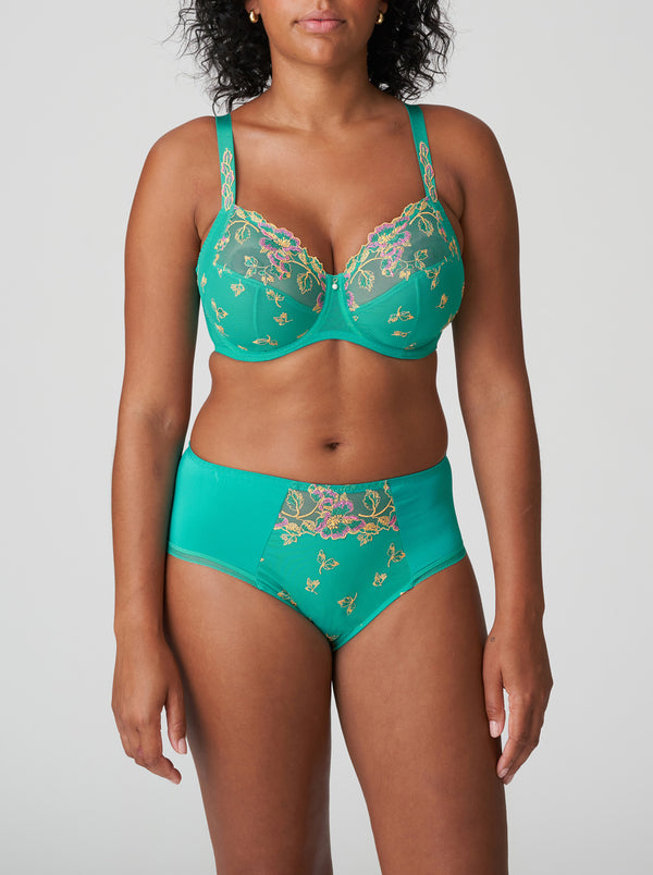 Lenca Full Briefs - Sunny Teal
