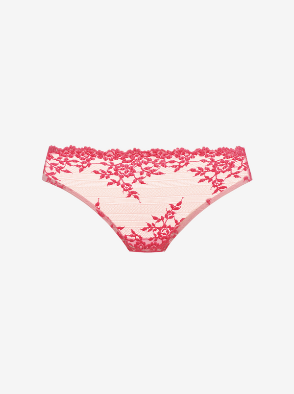 Embrace Lace Bikini Briefs - Ballet Slipper